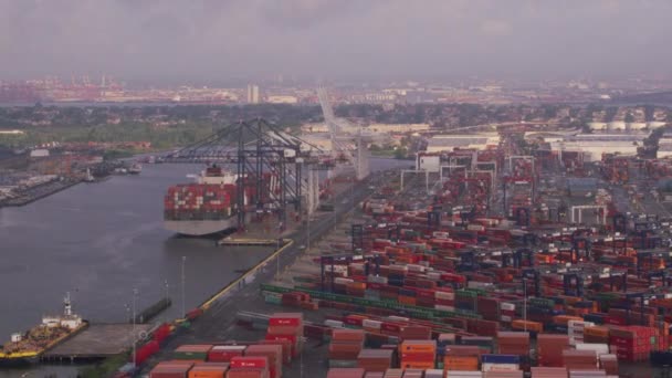 New Jersey Circa 2017 Shipping Port Upper New York Bay — Stock Video