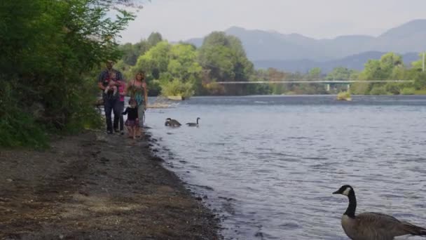 Family Walking Together River — Stock Video