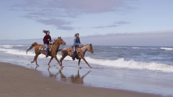 Frauen Reiten Pferde Zeitlupe Strand — Stockvideo
