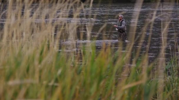 Manusia Terbang Memancing Sungai Dibingkai Oleh Rumput Tinggi — Stok Video