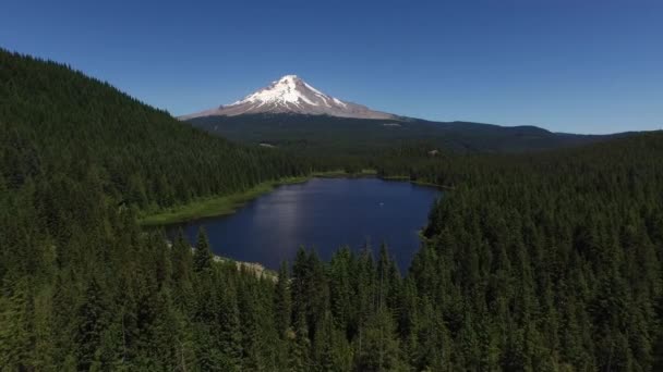 Foto Udara Trillium Lake Dan Hood Oregon — Stok Video