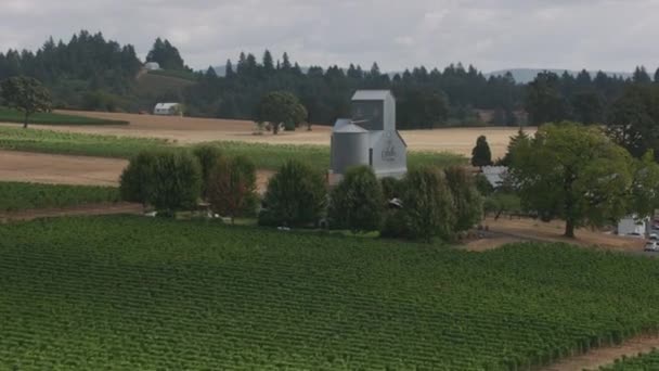 Dundee Hills Oregon 2018 Dolaylarında Oregon Şarap Ülkesinin Hava Manzarası — Stok video