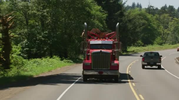 Oregon Circa 2017 Logging Truck Driving Highway Oregon Forest — Stock Video