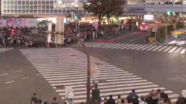 Tokio Japonia Około 2018 Roku Nocne Zdjęcia Samochodów Osób Przejeżdżających — Wideo stockowe