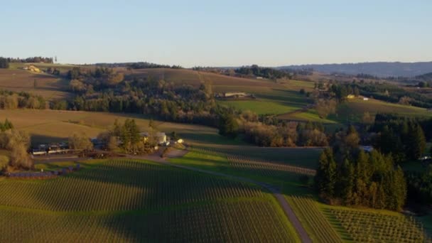オレゴン州デイトン近郊のブドウ畑や農地の空中風景 — ストック動画