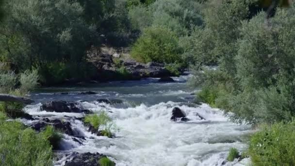 Vue Panoramique Des Rapides Eau Vive Rivière Rouge Oregon États — Video