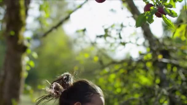 Młoda Dziewczyna Jesieni Zbierając Jabłko Drzewa — Wideo stockowe