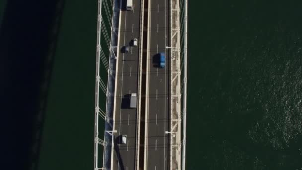 Tokio Japan Circa 2018 Vlieg Rechtstreeks Rainbow Bridge Schot Vanuit — Stockvideo