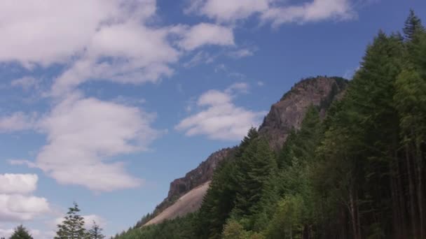 Körning Träd Och Kullar Columbia River Gorge — Stockvideo