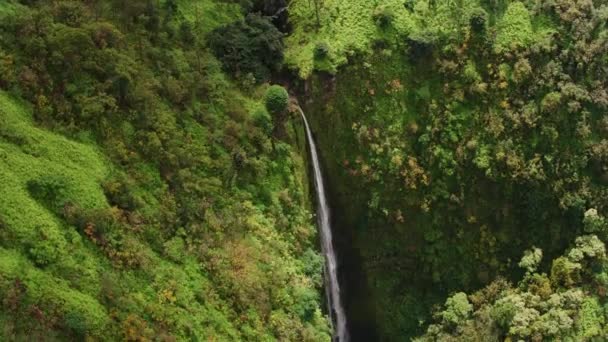 2018年頃 ハワイ州マウイ島 マウイ島のHonokohau滝の空中ビュー CineflexとRed Epic Heliumで撮影 — ストック動画
