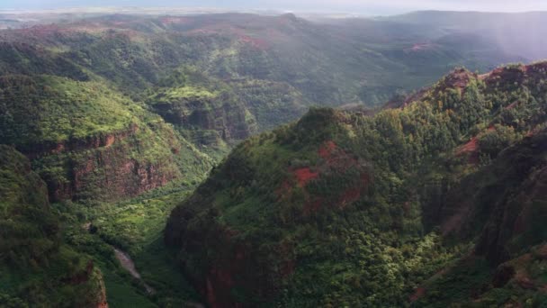 Kauai Hawaii Circa 2018 Luchtfoto Van Waimea Canyon Opgenomen Met — Stockvideo