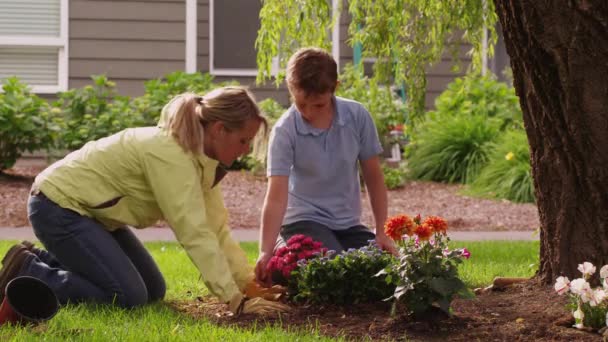 庭に花を植える母親と息子 Red Epicで撮影 — ストック動画