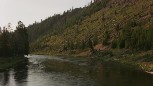 Yellowstone National Park Cirka 2018 Floden Vid Yellowstone — Stockvideo