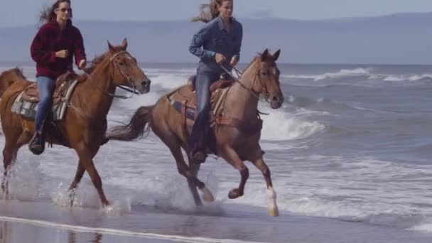 Vrouwen Paardrijden Het Strand Slow Motion — Stockvideo