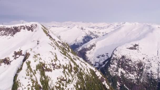 2018年から2018年にかけてカナダのブリティッシュコロンビア州 雪の空中ビューの山の範囲をカバー CineflexジンバルとRed Epic Wカメラでヘリコプターから撮影 — ストック動画