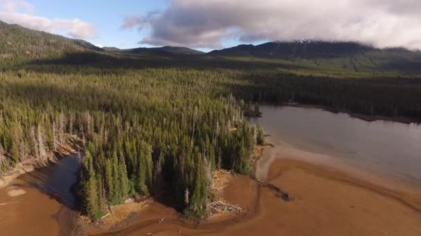 Aerial View Sparks Lake Oregon — Stock Video