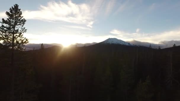 Flygfoto Över Oregon Skog Och Ungkarl Vid Solnedgången — Stockvideo