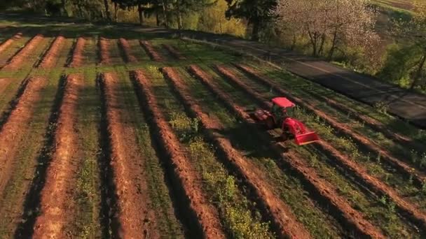 Luchtfoto Van Trekker Het Landbouwbedrijf Die Rijen Naar Beneden Rijdt — Stockvideo
