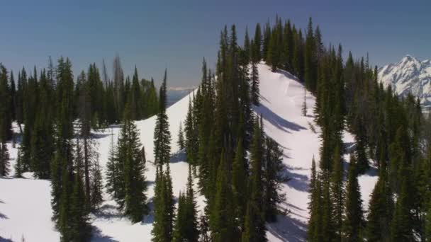 Národní Park Grand Teton Skalnaté Hory Wyoming Letecký Pohled Krásné — Stock video