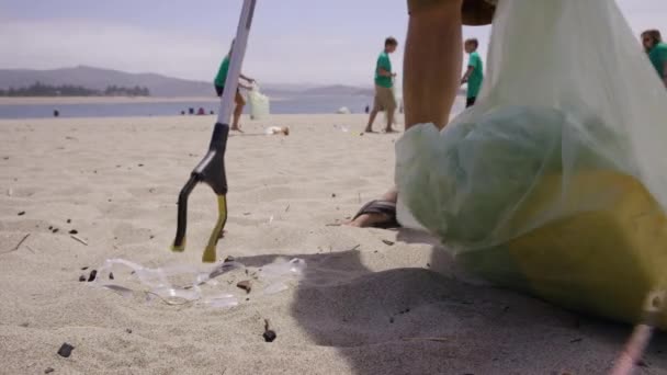 ボランティアのグループは ビーチを掃除 — ストック動画