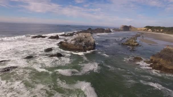Luftaufnahme Der Küste Von Oregon Seal Rock — Stockvideo