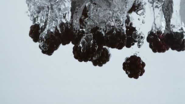 ブラックベリーのスローモーションショットが水に飛び込み Phantom Flex 4Kカメラで撮影 — ストック動画