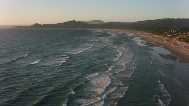 Newport Oregon 2017 Dolaylarında Newport Oregon Plajının Hava Görüntüleri Cineflex — Stok video