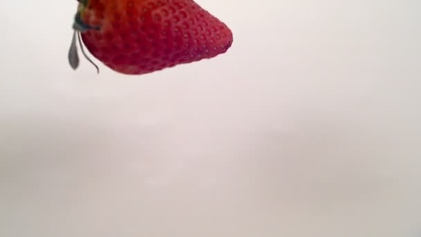 Φράουλα Πέφτει Στο Γάλα Σούπερ Αργή Κίνηση Φωτογραφία Κάμερα Phantom — Αρχείο Βίντεο