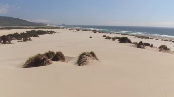 Vista Aérea Atv Conduciendo Dunas Arena Oregon — Vídeos de Stock