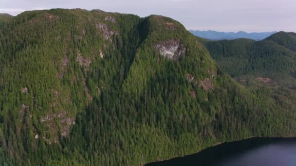 Brittiska Columbia 2018 Flygfoto Över Skog Och Sjöar Skjuten Från — Stockvideo