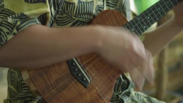 Muž Hrající Ukulele Havaji — Stock video