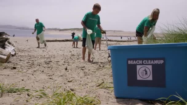 Група Волонтерів Прибирає Пляж — стокове відео