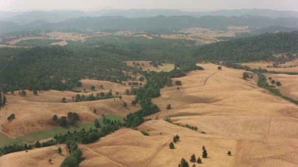 Oregon Circa 2017 Luchtfoto Van Zuid Oregon Landbouwgronden — Stockvideo