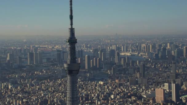 日本約2018年 東京スカイツリーを遠望できます レッドカメラでヘリコプターから撃たれた — ストック動画