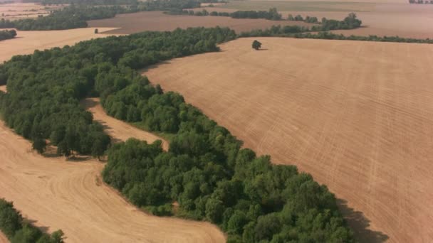 Όρεγκον Περίπου 2017 Αεροφωτογραφία Της Γεωργικής Γης Κοντά Στο Σάλεμ — Αρχείο Βίντεο