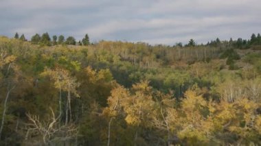 Montana güzel dağlık arazi hava görüntüleri 