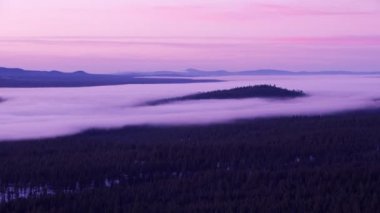 Oregon - 2018 dolaylarında güneş doğarken alçak sis, Desparutes Ulusal Ormanı. Helikopterden Cineflex gimbal ve RED Epic-W kamerasıyla çekildi..