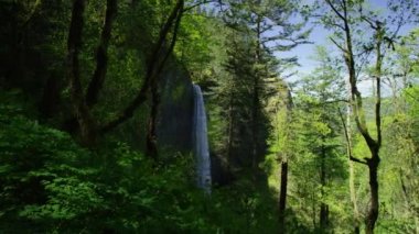 Ağaçlar tarafından çerçevelenmiş şelale, Columbia Nehri Boğazı, Oregon