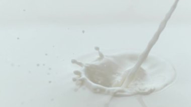 Süt akıyor ve yavaş çekimde sıçrıyor