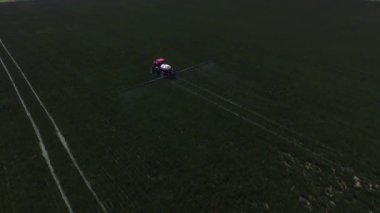 Traktörün çimen tohumu tarlası püskürttüğü hava görüntüsü.