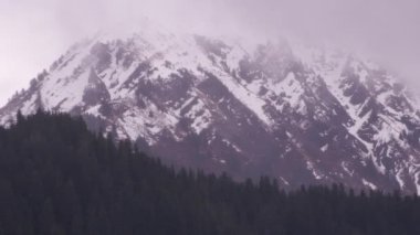 Anchorage, Alaska - 2018 dolaylarında Anchorage, Alaska yakınlarındaki karlı dağların ve ağaçların hava manzarası. Helikopterden Cineflex gimbal ve RED Epic-W kamerasıyla çekildi..