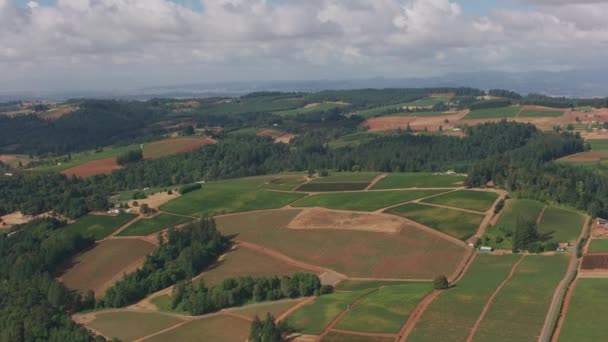 Dundee Hills Oregon Circa 2018 Luchtfoto Van Het Wijnland Van — Stockvideo