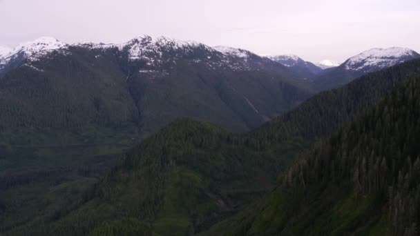 Columbia Británica Canadá Circa 2018 Vista Aérea Cordillera Cubierta Nieve — Vídeos de Stock