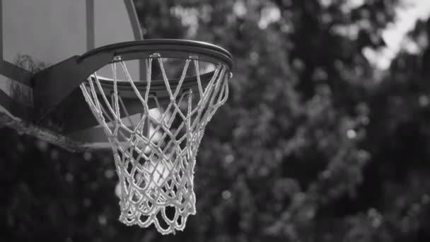 Basketball Goes Hoop — Stock Video