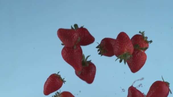 Aardbeien Vliegen Slow Motion Geschoten Met Phantom Flex Bij 1000 — Stockvideo