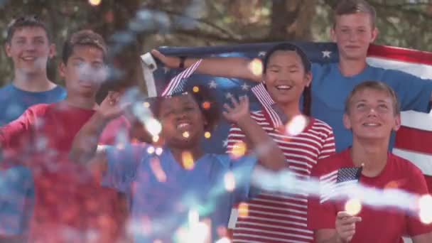 Lapset Katsovat Ilotulitusta Heiluttavat Lippuja Itsenäisyyspäivänä — kuvapankkivideo