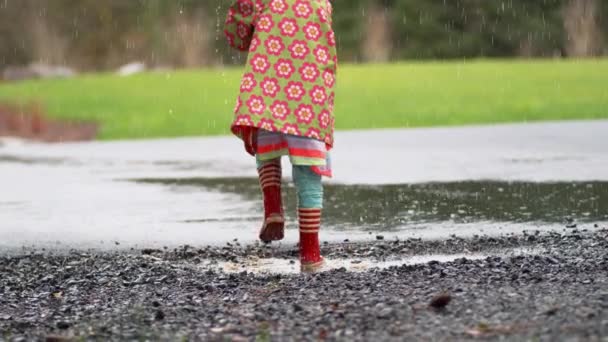 Chica Joven Con Paraguas Jugando Lluvia Cámara Lenta Disparo Con — Vídeo de stock