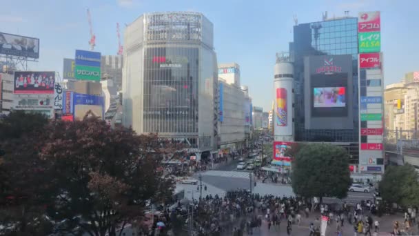 Tokyo Japan Circa 2018 Time Lapse Shot Cars People Crossing — Stock Video