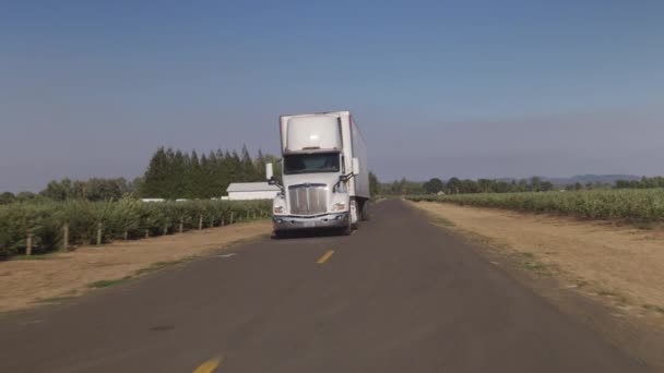 Semi Truck Driving Rural Road Fully Released Commercial Use — Stock Video