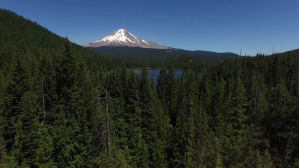 Légi Felvétel Trillium Tóról Hood Oregon Állam — Stock videók